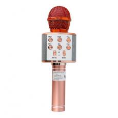 A-One Brand - Multimedia Karaoke Mikrofon CR58 - Rose Guld