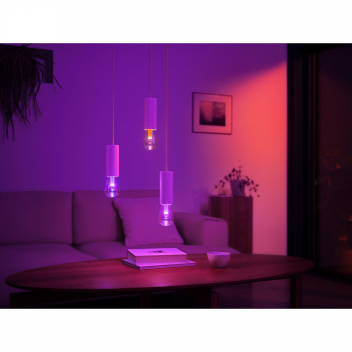 Philips - Philips Hue Lightguide Edison ST72 E27 White and Color Ambiance