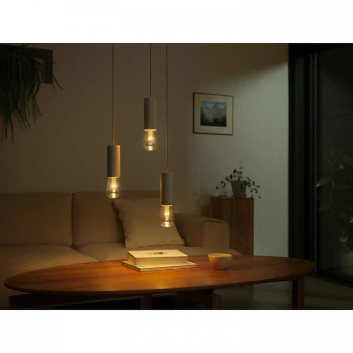 Philips - Philips Hue Lightguide Edison ST72 E27 White and Color Ambiance