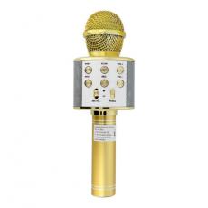 A-One Brand - Multimedia Karaoke Mikrofon CR58 - Guld