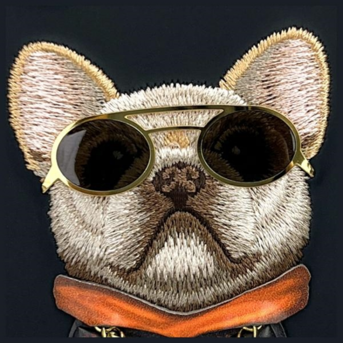 NIMMY - Nimmy iPhone 16 Mobilskal Glasses Cool Dog - Svart