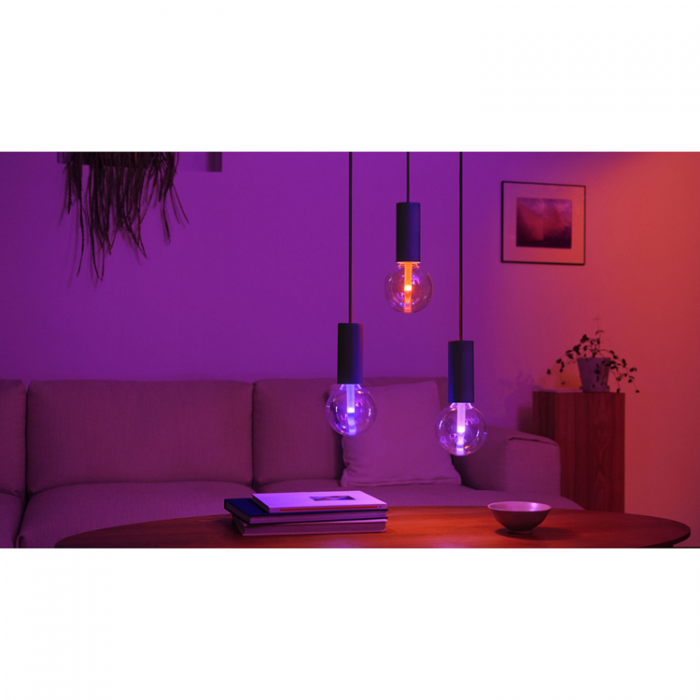 Philips - Philips Hue Lightguide Globe 95mm E27 White and Color Ambiance