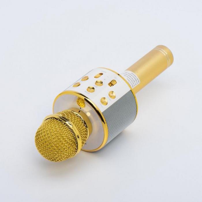 A-One Brand - Multimedia Karaoke Mikrofon CR58S HQ - Guld