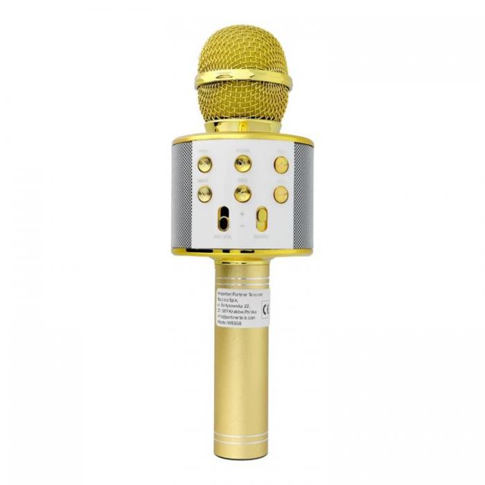 A-One Brand - Multimedia Karaoke Mikrofon CR58S HQ - Guld