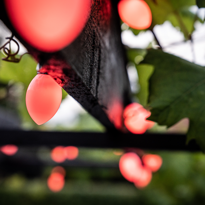 Lite bulb moments - Lite bulb moments Smart Light Chain - Globe Cone
